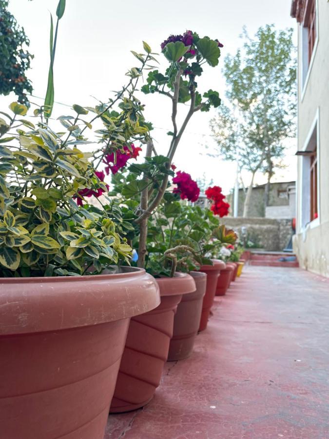 Gaywoo Guest House レー エクステリア 写真