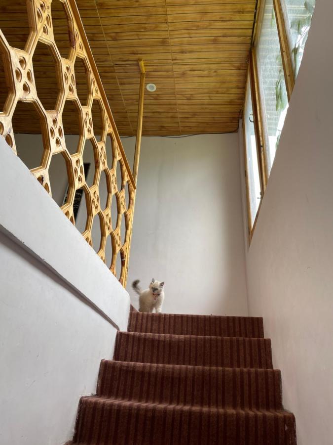 Gaywoo Guest House レー エクステリア 写真